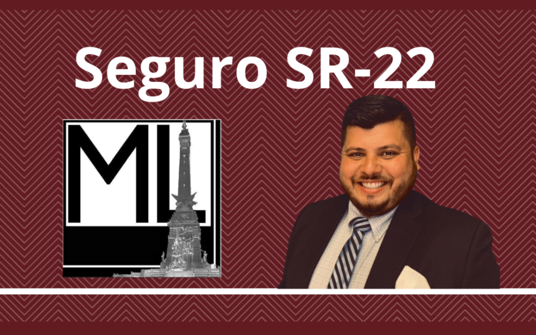 Por qué el SR-22 es importante