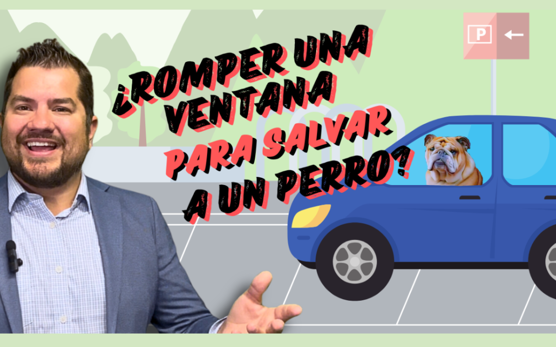 ¿Cuándo puedes romper legalmente un auto para salvar a un perro?